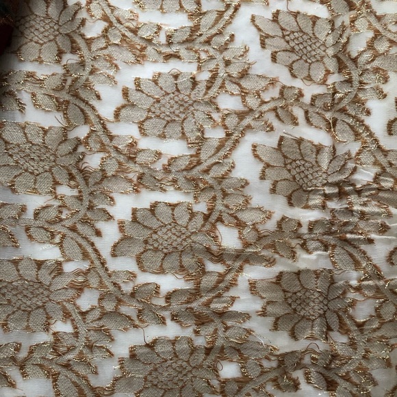 Saree muted-gold tissue-organza bright machine embroidery border NWOT - Picture 3 of 9